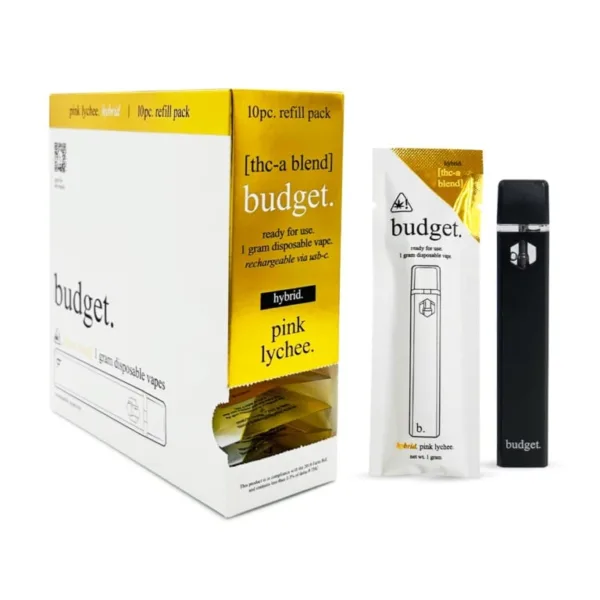BUDGET ASSORTED FLAVORS DISPOSABLES offers a premium experience from BUDGET.