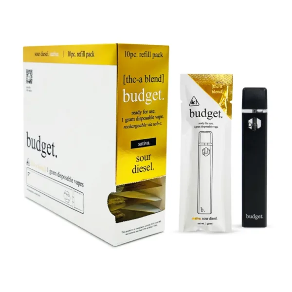 BUDGET ASSORTED FLAVORS DISPOSABLES offers a premium experience from BUDGET.