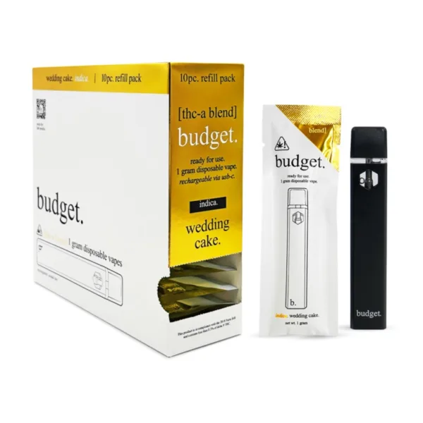 BUDGET ASSORTED FLAVORS DISPOSABLES offers a premium experience from BUDGET.