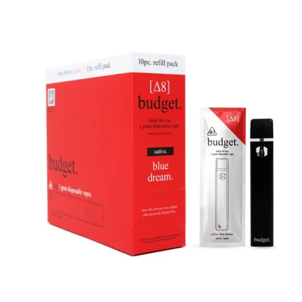 BUDGET ASSORTED FLAVORS DISPOSABLES offers a premium experience from BUDGET.