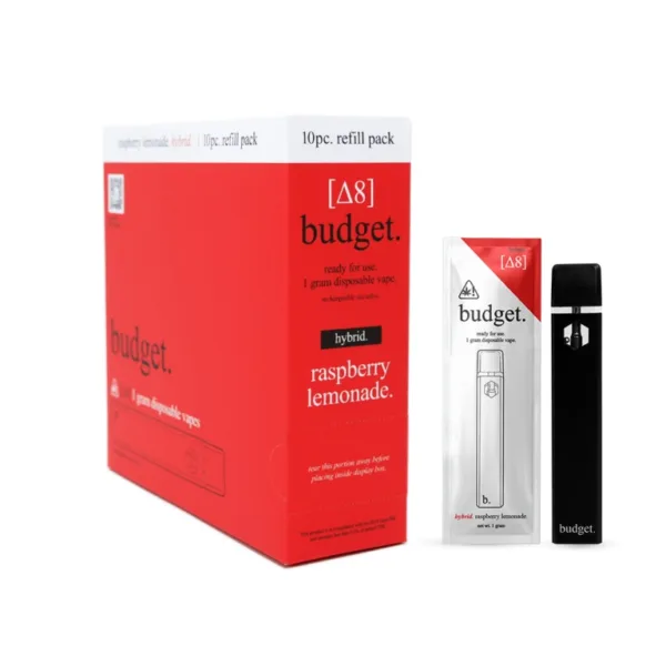 BUDGET ASSORTED FLAVORS DISPOSABLES offers a premium experience from BUDGET.