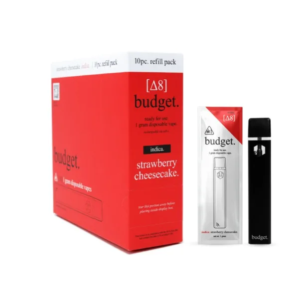 BUDGET ASSORTED FLAVORS DISPOSABLES offers a premium experience from BUDGET.