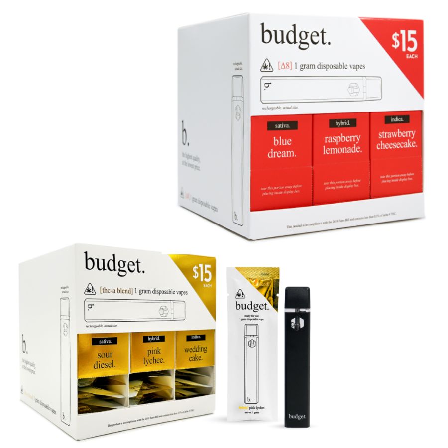 BUDGET ASSORTED FLAVORS DISPOSABLES offers a premium experience from BUDGET.