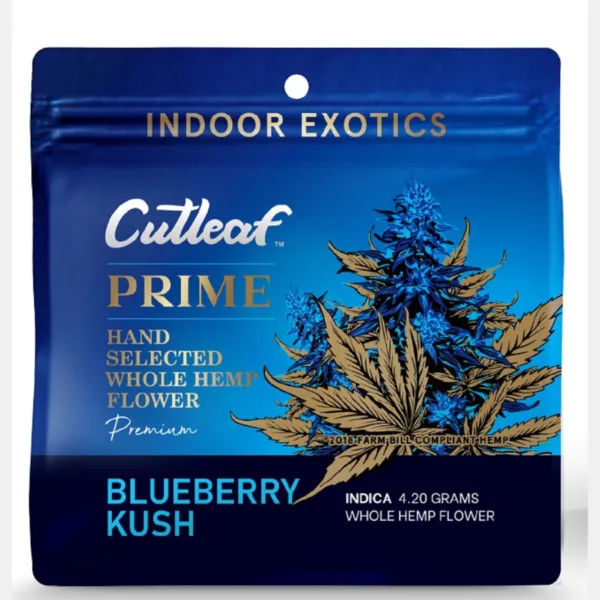 CUT LEAF  ‘PRIME’ FLOWER – CUTLEAF EXOTICS official product photo