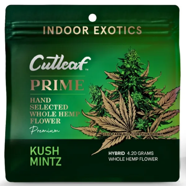 CUT LEAF  ‘PRIME’ FLOWER – CUTLEAF EXOTICS official product photo