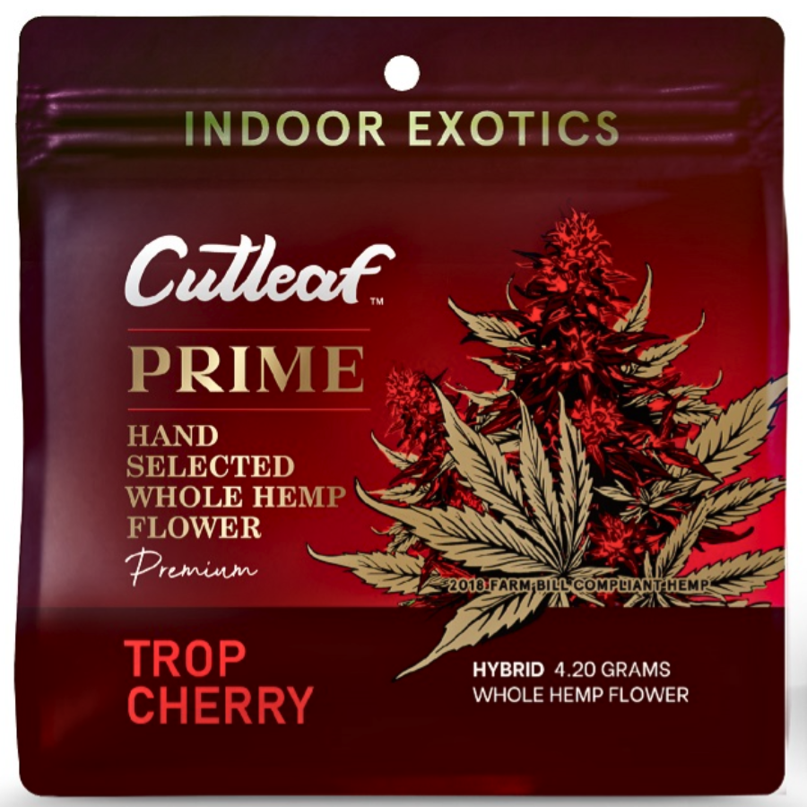 CUT LEAF  ‘PRIME’ FLOWER – CUTLEAF EXOTICS official product photo