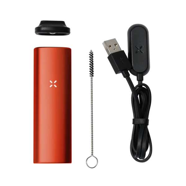 Explore the innovative RAMA Bluetooth Dual Mesh Disposable.