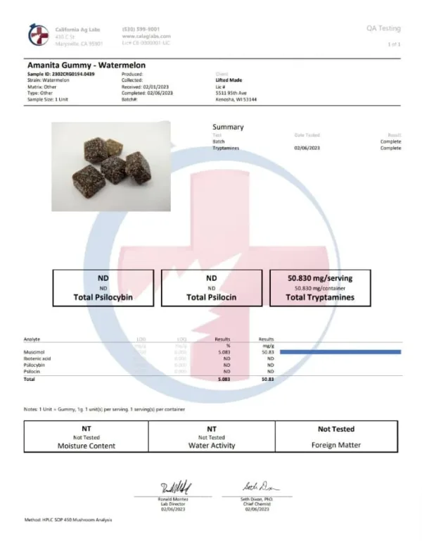 High-quality URB AMANITA MAGIC MUSHROOM GUMMY from URB.